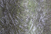 Littlestone On Sea fibreglass roof work